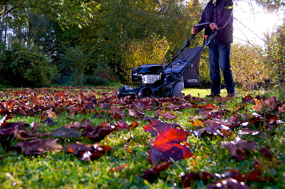 Photography illustration 4, part of our Hayter-mowers portfolio